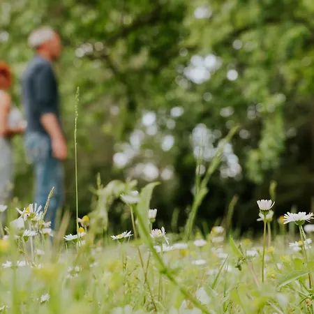 לינה וארוחת בוקר Gerosa