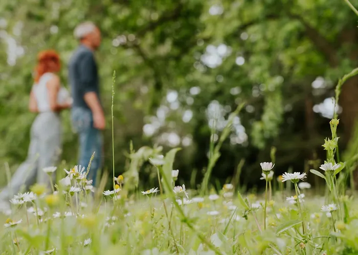 לינה וארוחת בוקר Gerosa